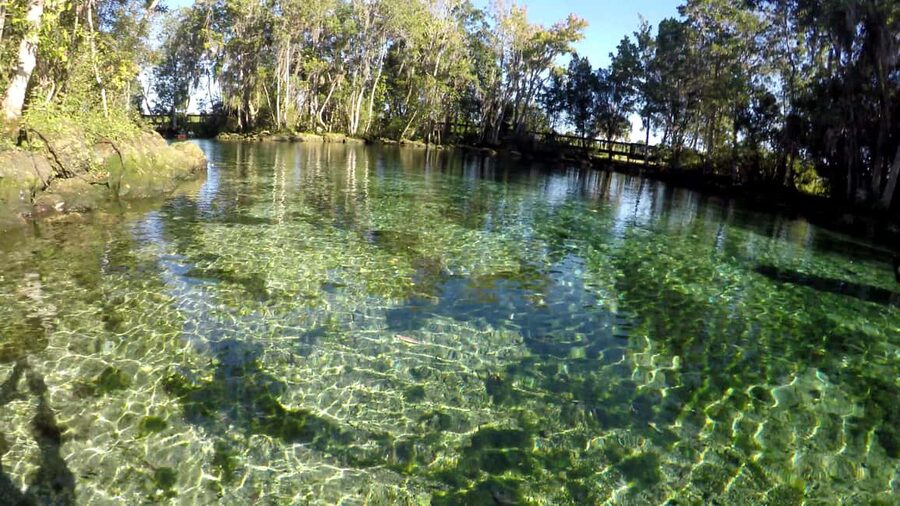 Crystal River:Three Sisters Springs Guided Kayak & Swim Tour - Why Three Sisters Springs is worth the paddle