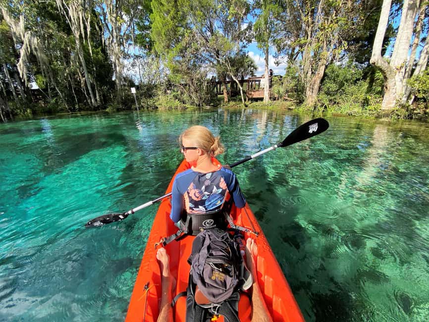 Crystal River:Three Sisters Springs Guided Kayak & Swim Tour - What the one-mile paddle feels like