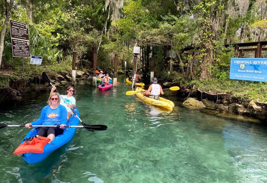 Crystal River:Three Sisters Springs Guided Kayak & Swim Tour - Swimming beside manatees and other wildlife