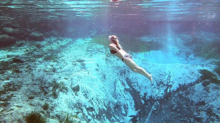 Crystal River:Three Sisters Springs Guided Kayak & Swim Tour - The small-group format and guide quality