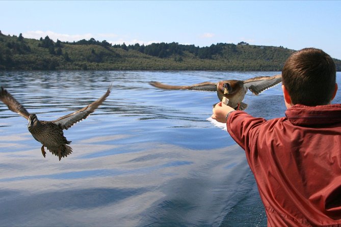 Daily Scenic Maori Rock Carving Cruise Taupo - What you see from Taupō Marina