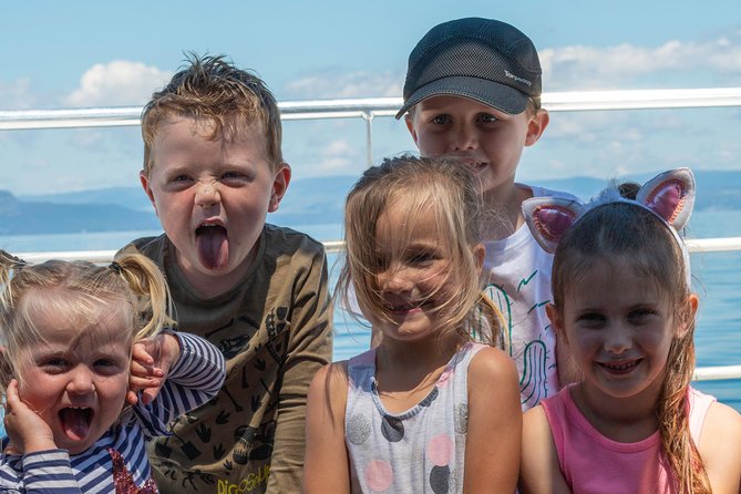 Daily Scenic Maori Rock Carving Cruise Taupo - How the price compares with the experience