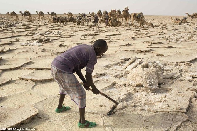 Danakil Depression and Lalibela 5 Days Tours - Guides, vehicles, and group size