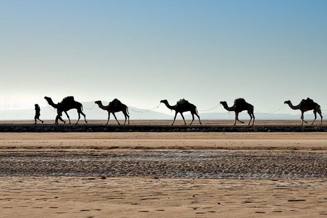 Danakil Depression and Lalibela 5 Days Tours - Day one: From Semera to Ahmed Ella and Lake Asale