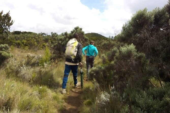 Day Hike to Mount Kilimanjaro, Local experience and Chagga Culture - A one-day taste of Kilimanjaro