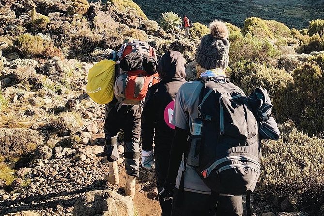Day Hike to Mount Kilimanjaro (Mandara Hut) - A first taste of Kilimanjaro without a summit climb