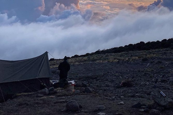 Day Hike to Mount Kilimanjaro (Mandara Hut) - Reaching Mandara Hut after three hours