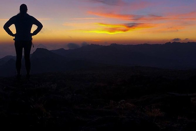 Day Hike to Mount Kilimanjaro (Mandara Hut) - The two-hour walk back to Marangu Gate