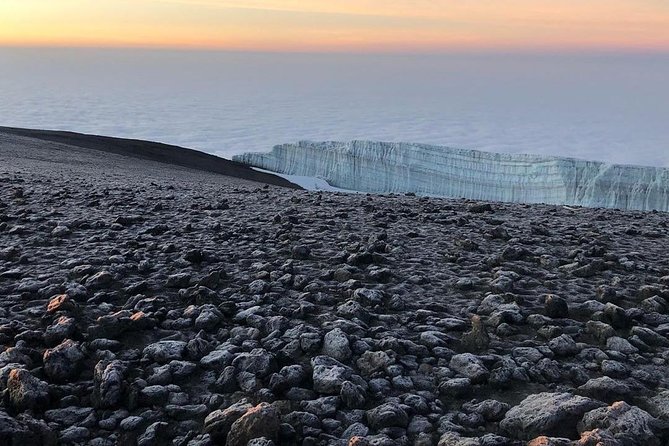 Day Hike to Mount Kilimanjaro (Mandara Hut) - What the private format changes