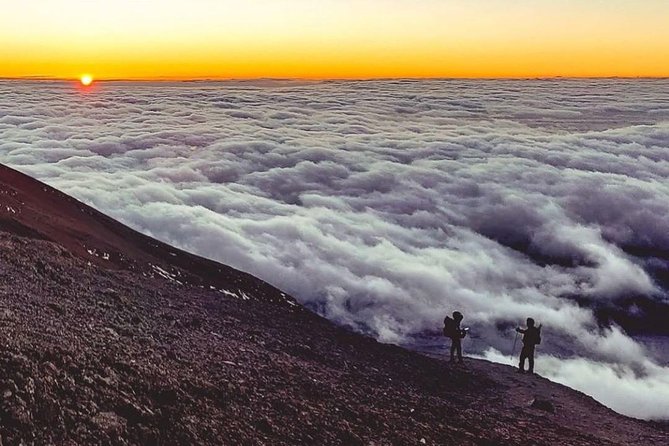 Day Hike to Mount Kilimanjaro (Mandara Hut) - Is $342.70 a fair price?
