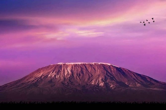 Day Hike to Mount Kilimanjaro (Mandara Hut) - The 12:30 am departure from Arusha