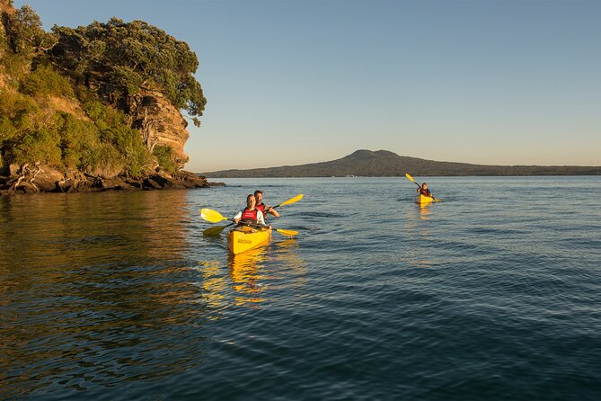 Day sea kayak tour Rangitoto Island - A volcanic island reached by paddle