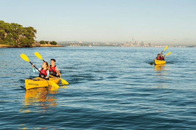 Day sea kayak tour Rangitoto Island - The paddle back to St. Heliers
