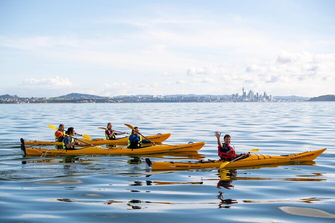 Day sea kayak tour Rangitoto Island - What the $152.04 price gets you