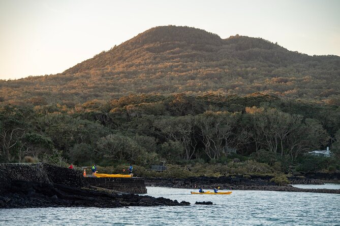 Day sea kayak tour Rangitoto Island - Protecting the Hauraki Gulf