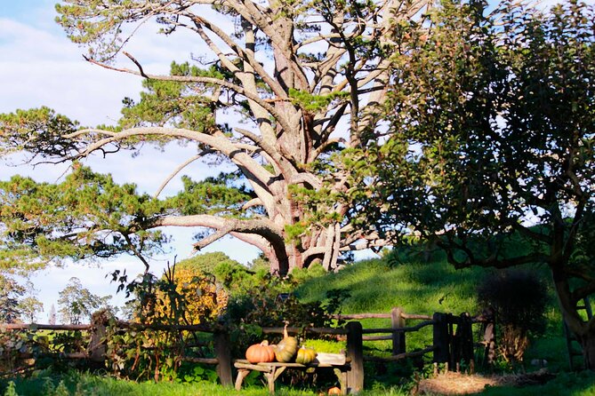 Day Tour Hobbiton + Rotorua from Auckland in Luxury Minibus - Returning to Auckland or staying in Rotorua