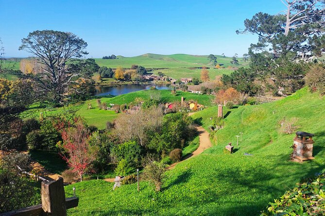 Day Tour Hobbiton + Rotorua from Auckland in Luxury Minibus - The guides can shape the whole day