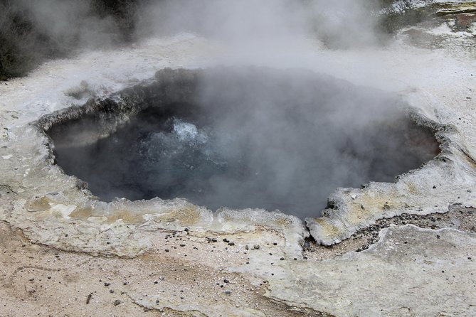 Day Tour Hobbiton + Rotorua from Auckland in Luxury Minibus - Who should book this day trip?
