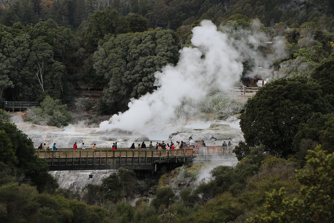Day Tour Hobbiton + Rotorua from Auckland in Luxury Minibus - Should you book it?