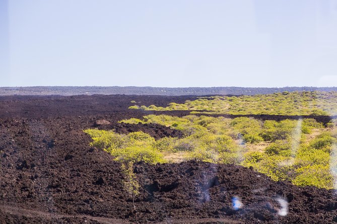 Day Trip from Oahu to Hilo: Volcano Adventure - The early flight from Honolulu to Hilo