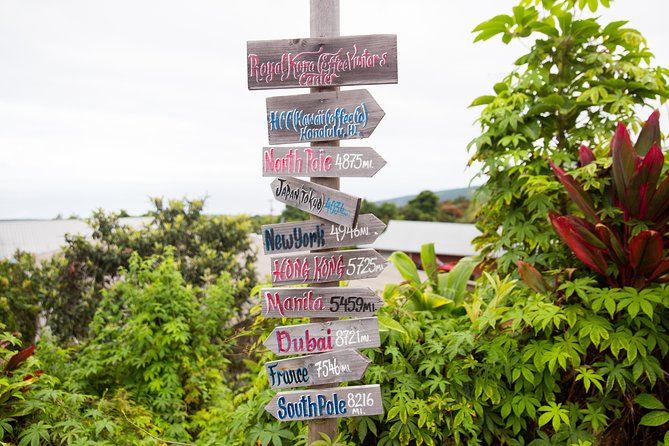 Day Trip from Oahu to Hilo: Volcano Adventure - Kilauea, steam vents, and the uncertain view of lava
