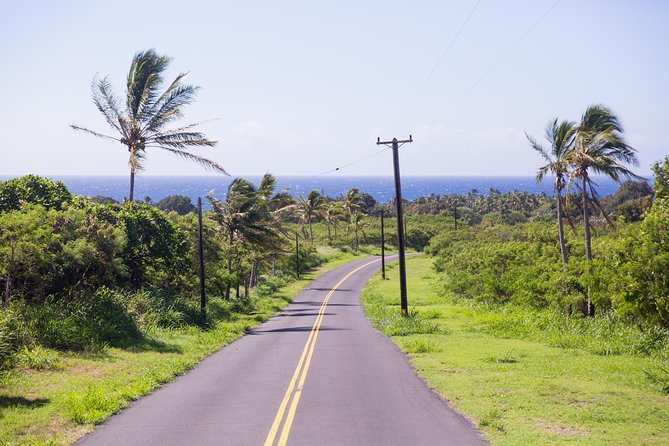 Day Trip from Oahu to Hilo: Volcano Adventure - Lunch, guide quality, and the small-group tradeoff