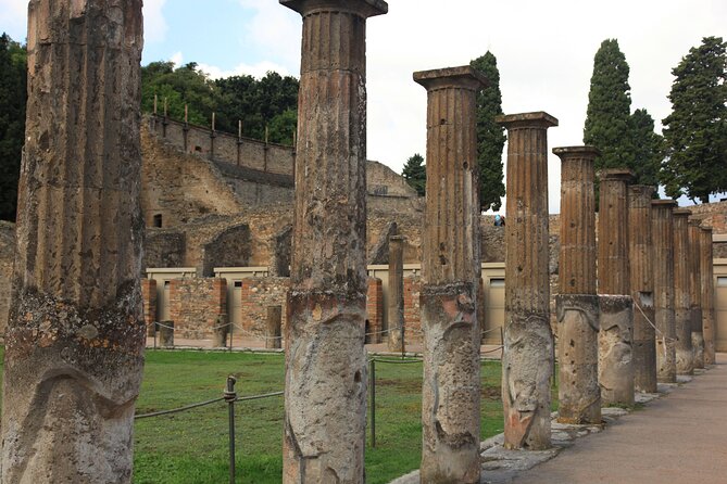 Day Trip of Pompeii, Herculaneum and Vesuvius from Naples - Who will enjoy this format