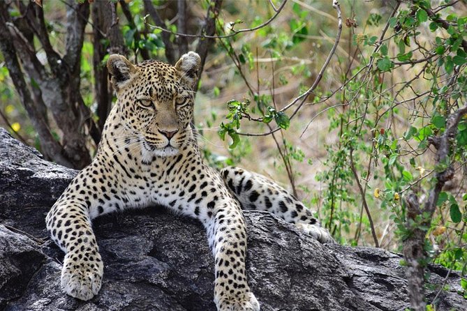 Day Trip to Ngorongoro Crater - What the six-person limit means