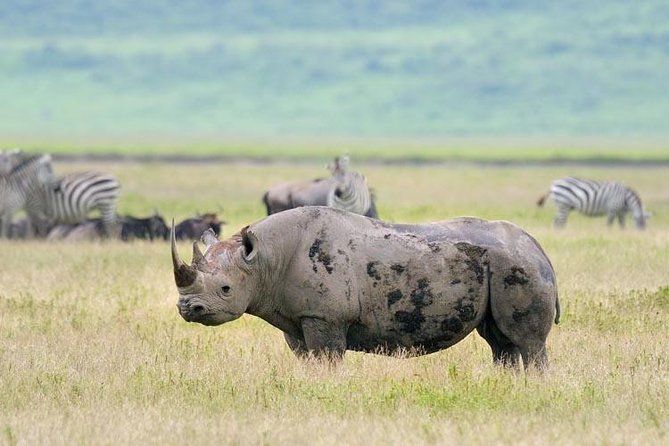 Day Trip to Ngorongoro Crater - Is $345 a fair price?