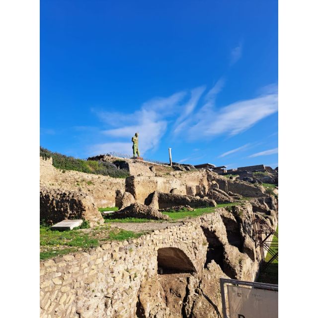 Day Trip to Pompeii & Vesuvius from Naples - What the private vehicle adds