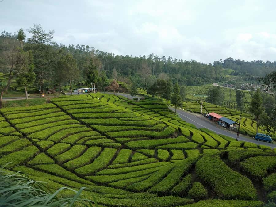 Day Trip Volcano White Crater Ciwidey Bandung - Tour Guide - Hot springs add a welcome break