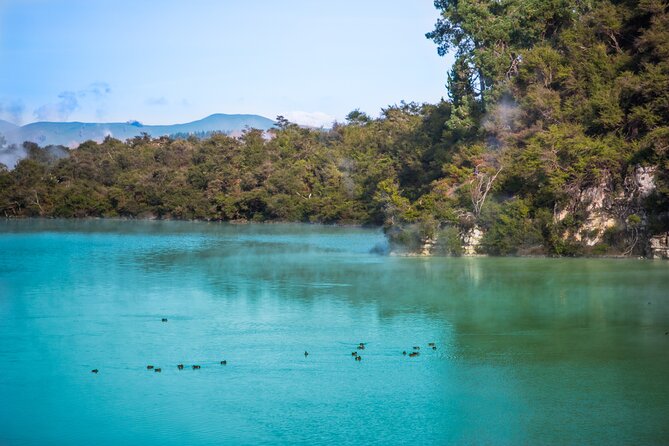 Devil's Bath Experience - Private Tour to Wai-O-Tapu & Lake Taupo - A private minibus changes the feel of the day