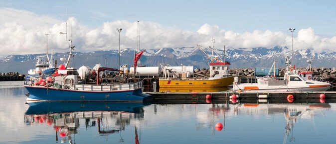 Diamond Circle Myvatn Waterfalls, and Husavik from Akureyri Tour - A full day from Akureyri into the Diamond Circle