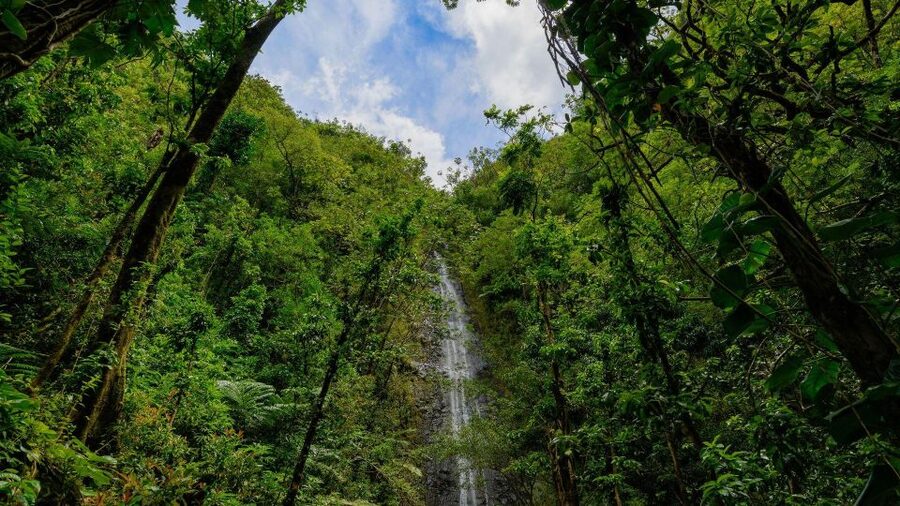 Diamond Head Manoa Falls - The breakfast pause gives the day breathing room