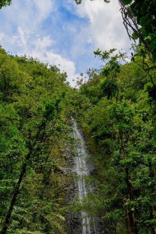 Diamond Head Manoa Falls - Price, value, and the people this suits best