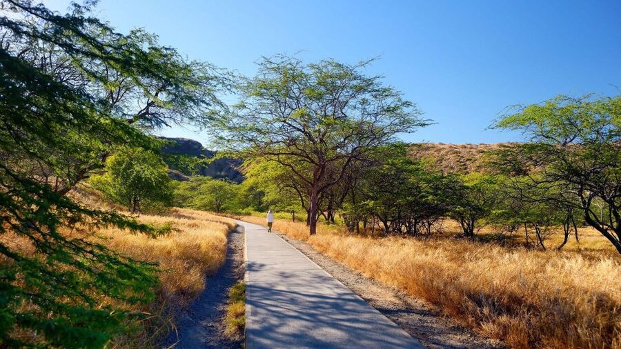 Diamond Head Manoa Falls - Practical preparation for both hikes