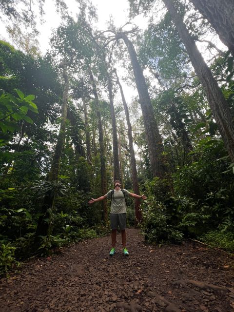 Diamond Head Manoa Falls - Diamond Head: a sunny climb with a big payoff