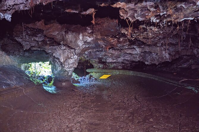 Discovery of the lava tubes 2004 of Piton de la Fournaise - Who will enjoy this cave visit most?