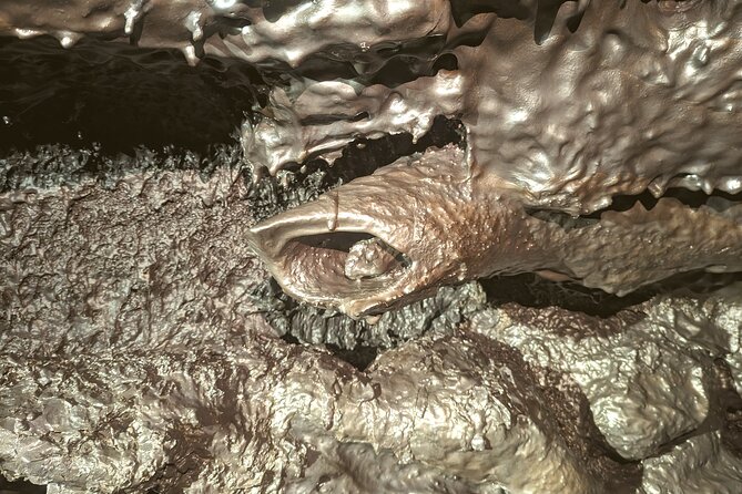 Discovery of the lava tubes 2004 of Piton de la Fournaise - A 2.5-hour outing with a gentle pace