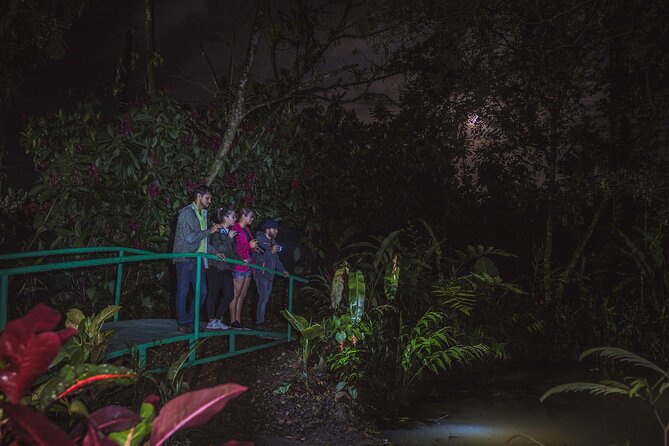 Ecogarden Arenal Night Walk - Key points to know before you go