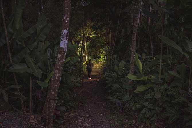 Ecogarden Arenal Night Walk - Why nighttime changes Ecogarden Arenal