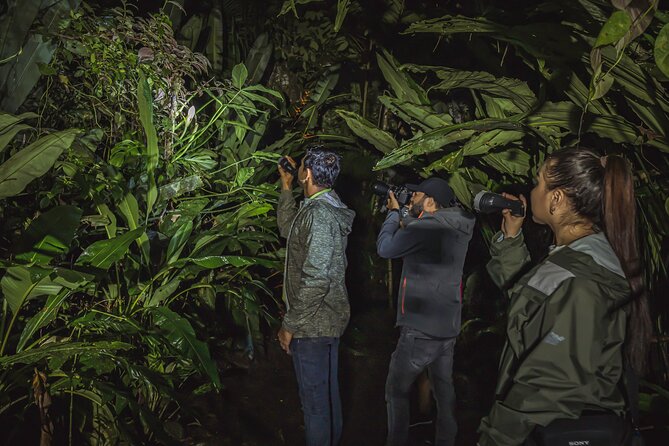 Ecogarden Arenal Night Walk - The 6 p.m. start and two-hour route
