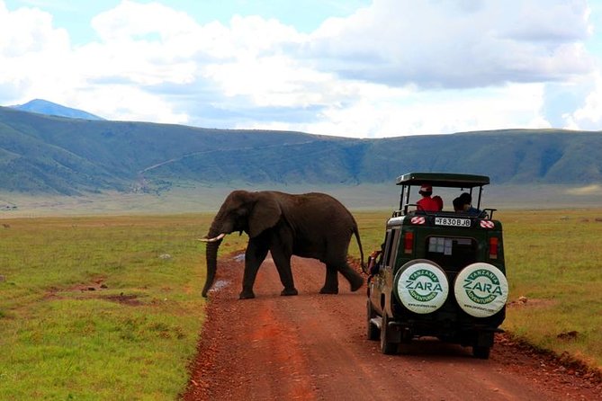 Elephant Special Serengeti & Ngorongoro Crater 5 Days / 4 Nights - Day 3: A full Serengeti game-viewing day