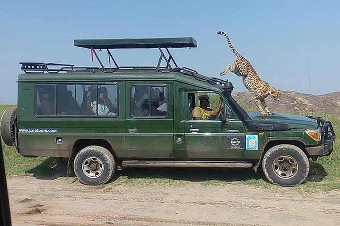 Elephant Special Serengeti & Ngorongoro Crater 5 Days / 4 Nights - Day 5: Lake Manyara’s forest, lake, and Rift Valley views