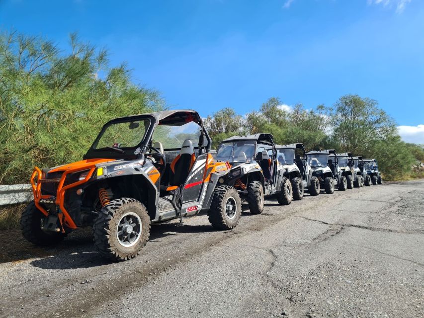 Etna Buggy 4x4 Tour - What the $339.86 group price really buys