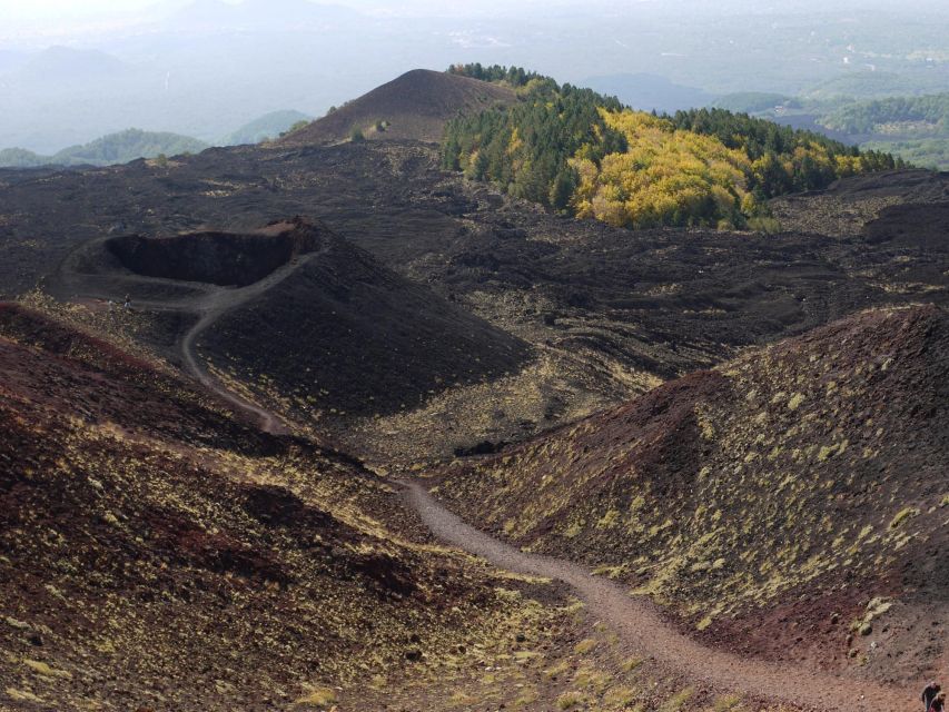 Etna by Panoramic Bus, Audioguide 9 languages, from Catania - Who should book this trip?