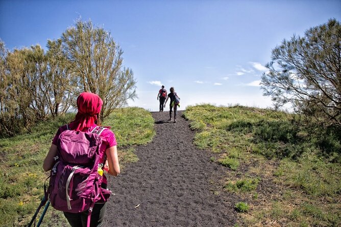 Etna Family Tour Excursion for families with children on Etna - Key points to know before booking