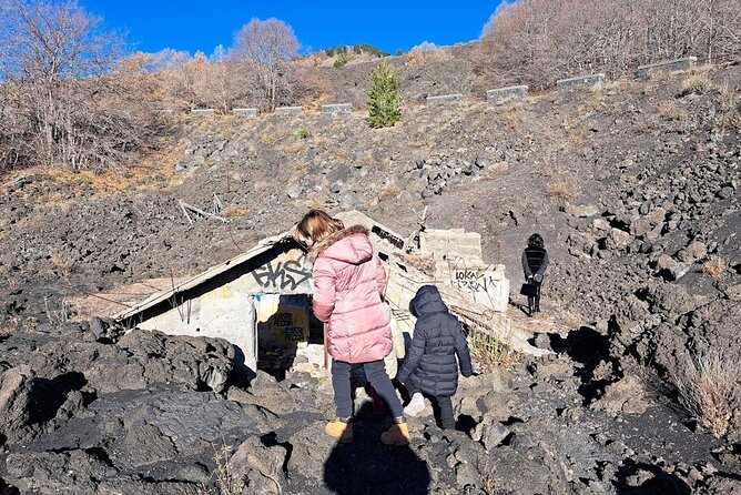 Etna Family Tour Excursion for families with children on Etna - Is $102.84 per person good value?