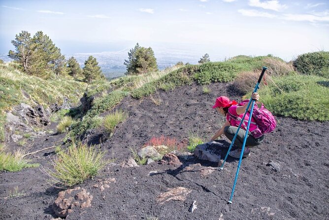 Etna Family Tour Excursion for families with children on Etna - Who should book this family outing