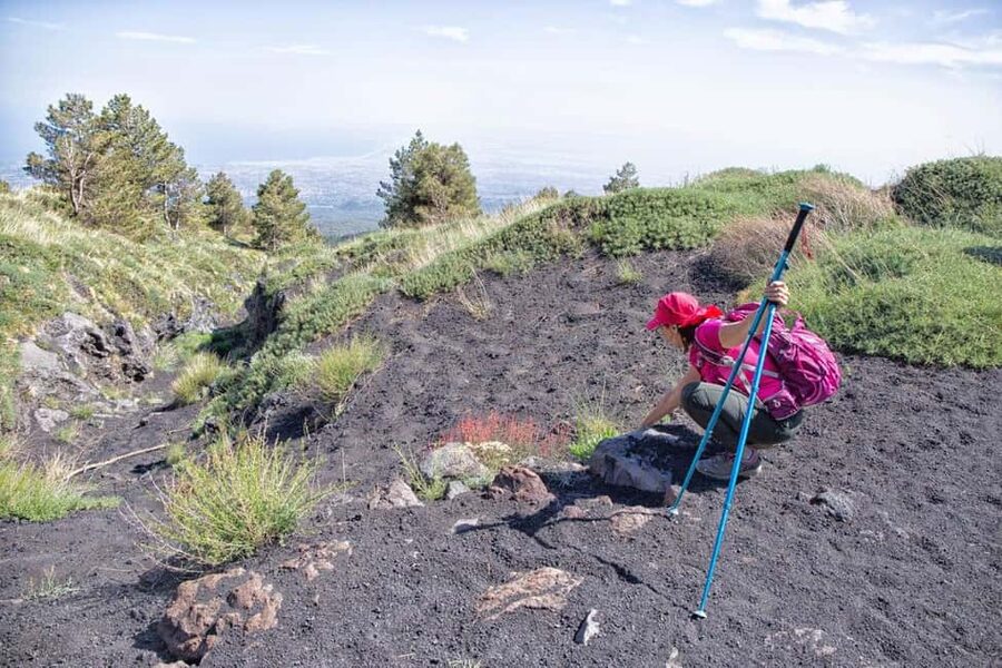 Etna Family Tour: semi-private tour on Etna mt. for families - Who should book the Etna Family Tour